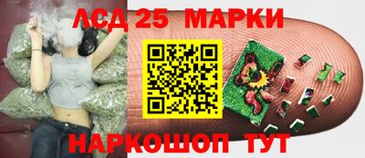 шишки Моздок