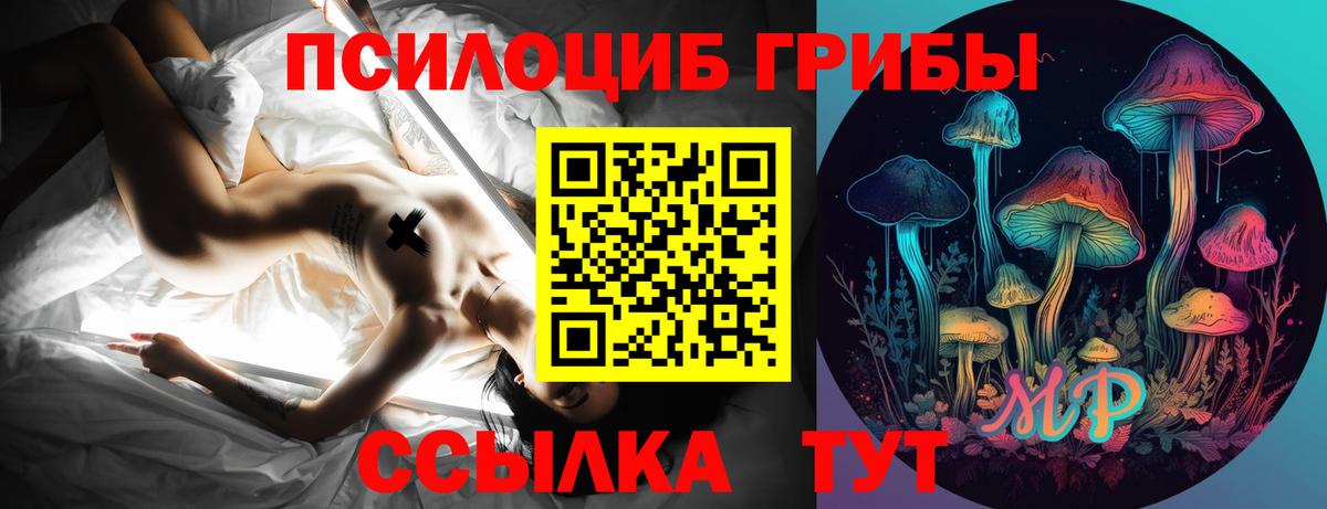 купить  цена  Вход с VPN  Фурманов  Псилоцибиновые грибы Cubensis 